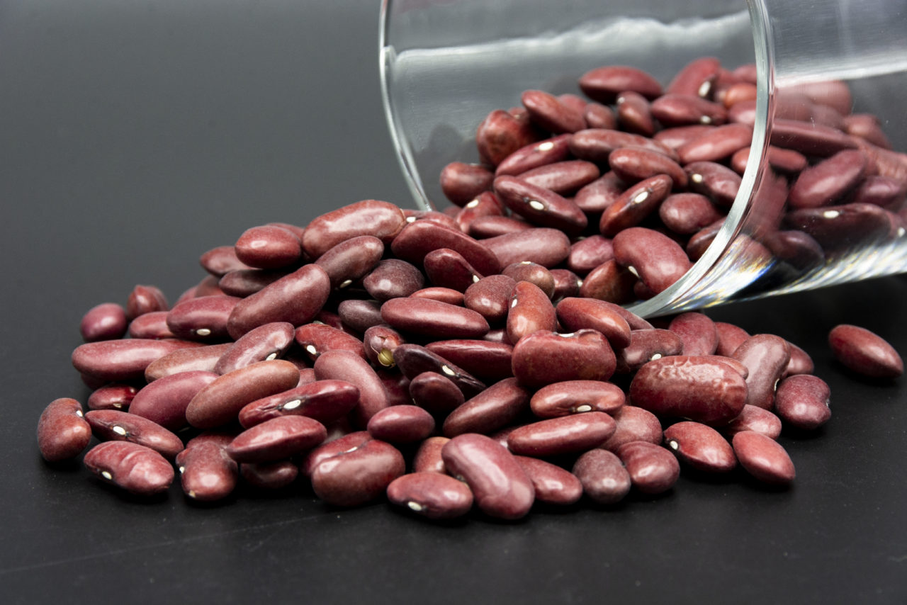 Haricots rouge - Bio