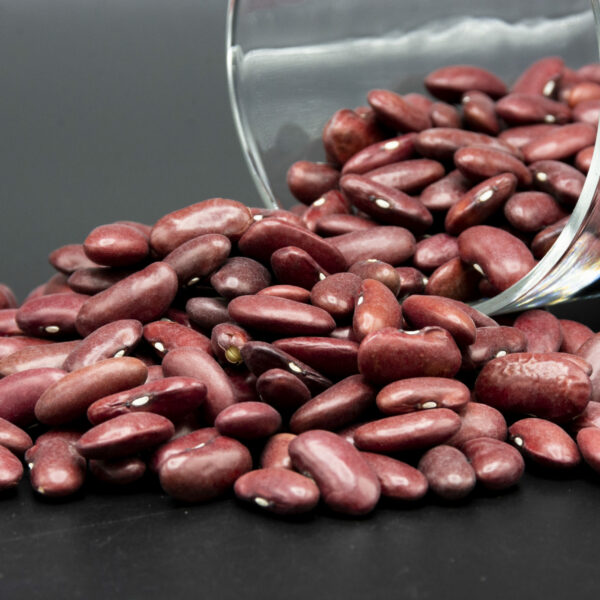Haricots rouge - Bio