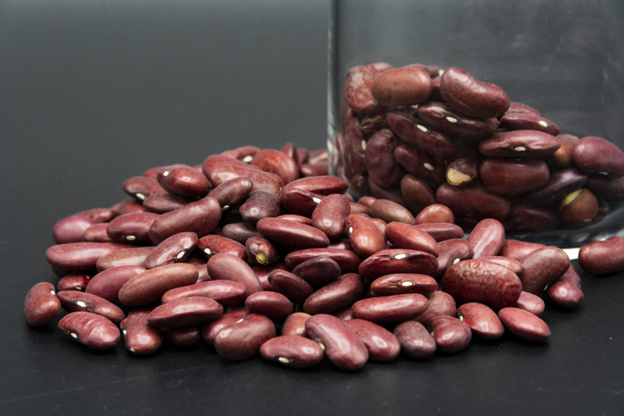 Haricots rouge - Bio – Image 2