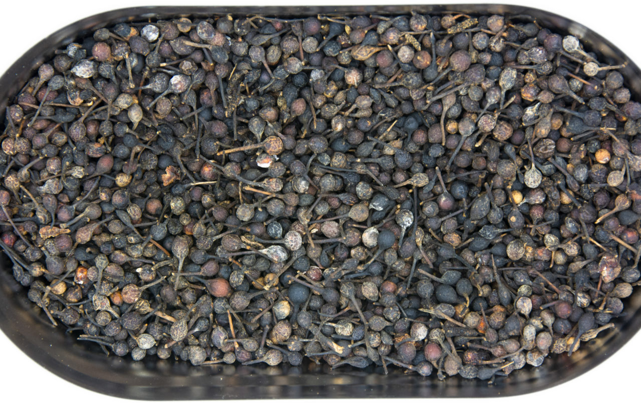Poivre sauvage de Madagascar