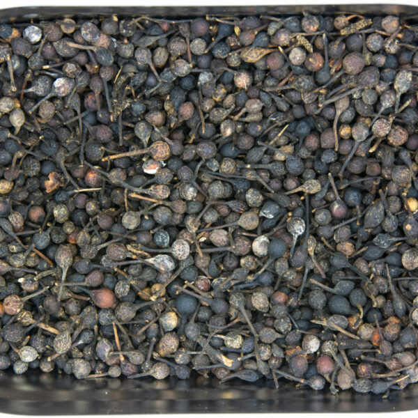 Poivre sauvage de Madagascar