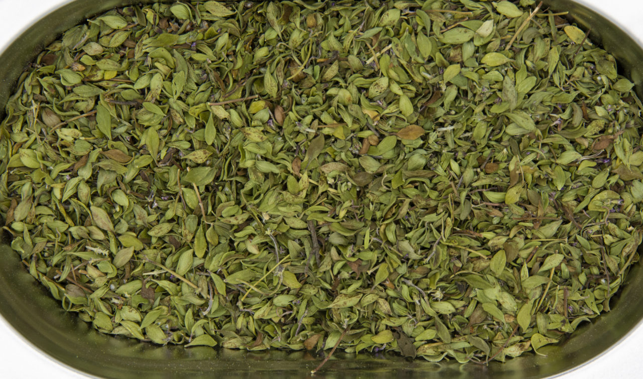 Thym citron - Bio