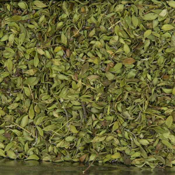 Thym citron - Bio