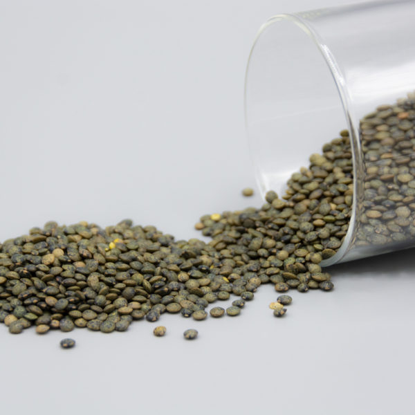 Lentilles vertes locales - bio