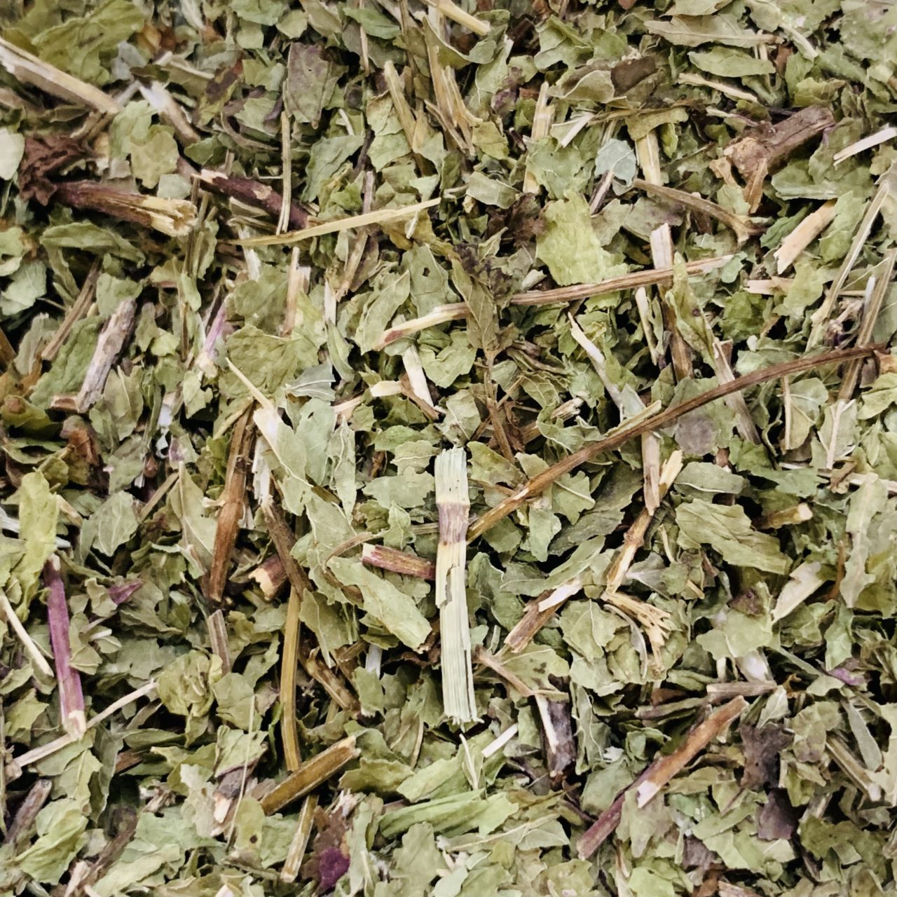 Menthe douce - bio