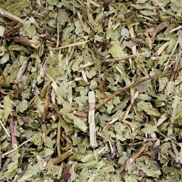 Menthe douce - bio