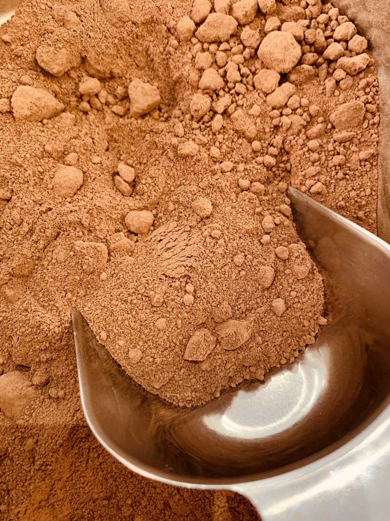 Cacao pur en poudre et panela (Sucre complet) - Bio