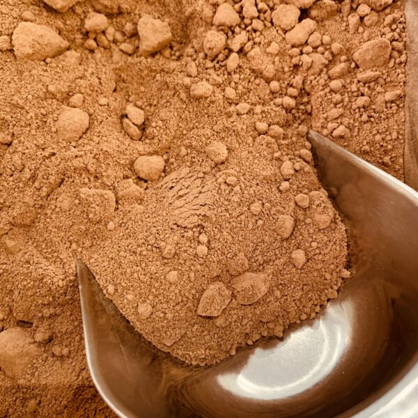Cacao pur en poudre et panela (Sucre complet) - Bio