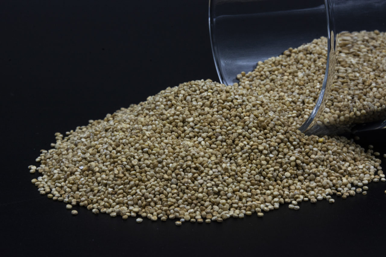 Quinoa local