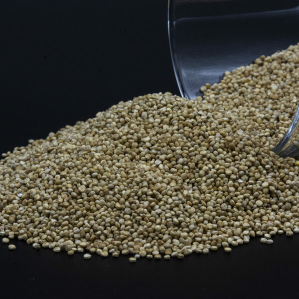 Quinoa local