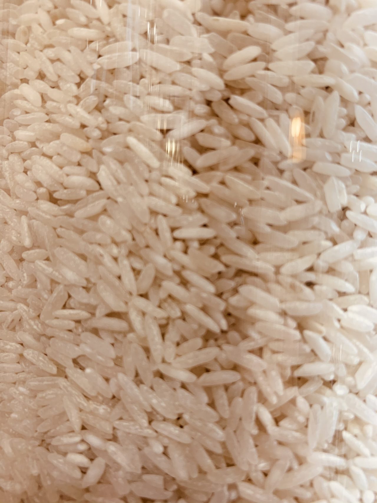 Riz Thaibonnet - Bio