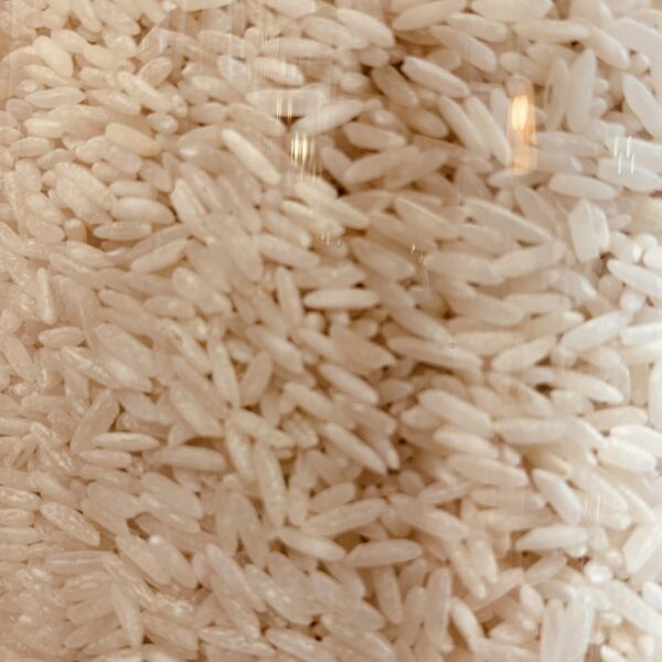 Riz Thaibonnet - Bio