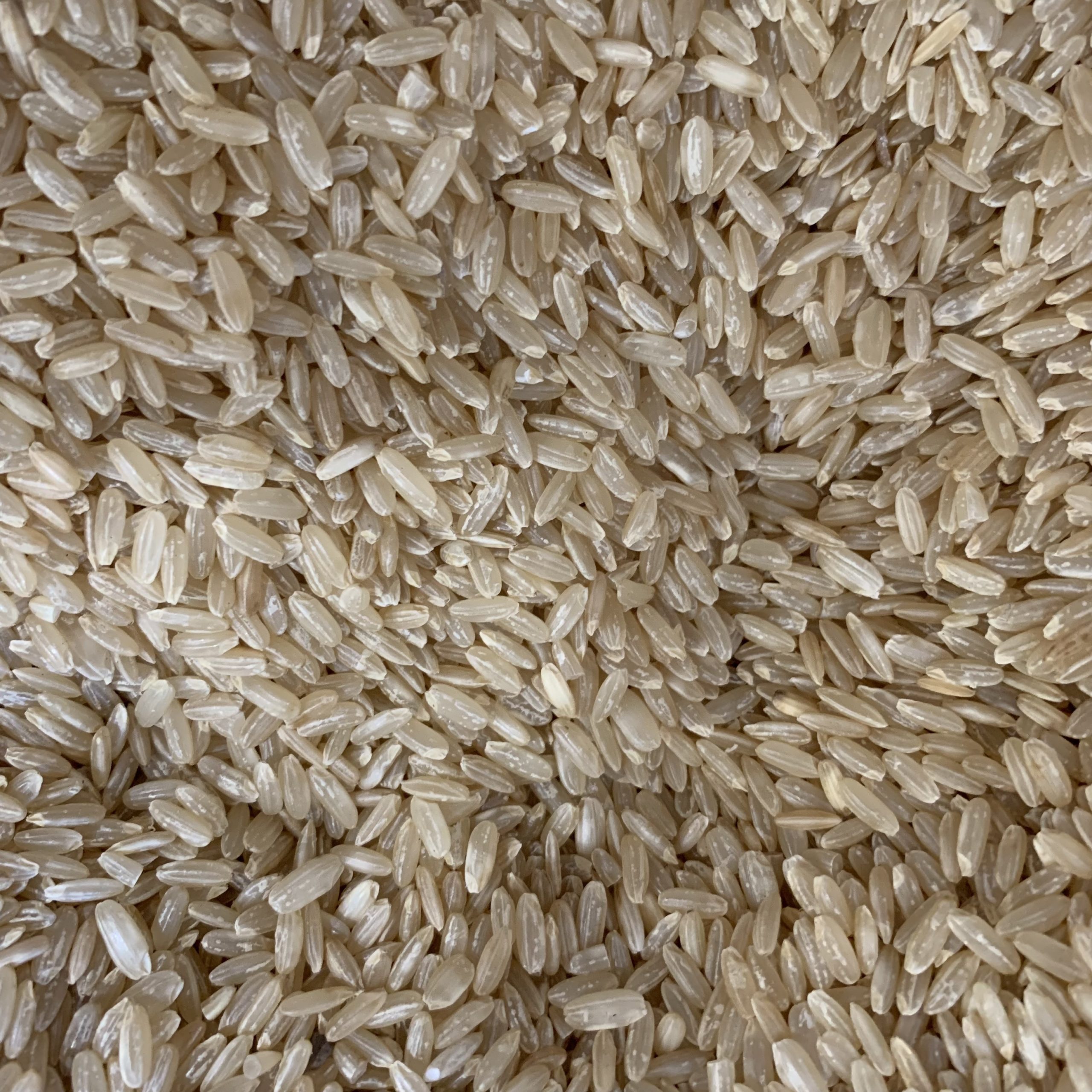 Riz long complet 500g bio - Terroir Bio Martinique