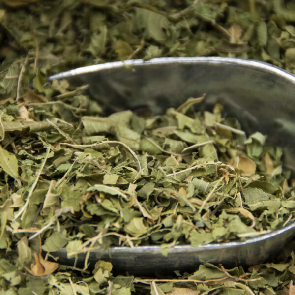 Verveine citronée